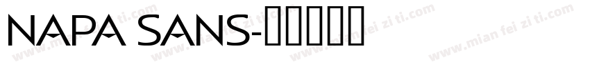 NAPA SANS字体转换